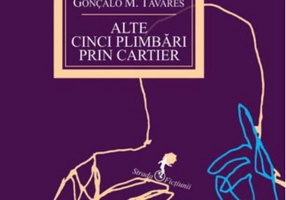 Alte cinci plimbări prin cartier (vol II)