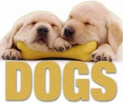 Dogs (CubeBook)