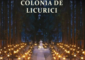 Colonia de licurici