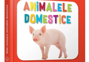 Animalele domestice. Bebe cunoaște