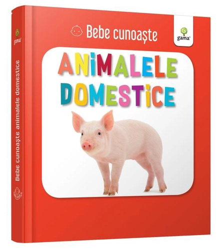 Animalele domestice. Bebe cunoaște