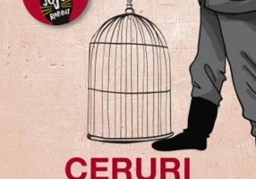 Ceruri încătușate