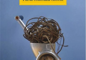 Părul contează enorm