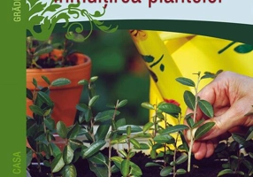 Înmulțirea plantelor
