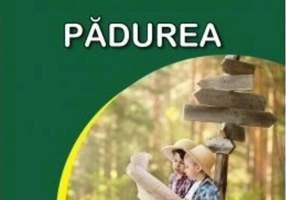 Pădurea. Sunt mic și vreau să aflu