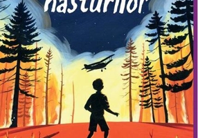 Războiul nasturilor