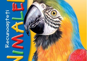 Recunoașteți animalele sălbatice. Papagal