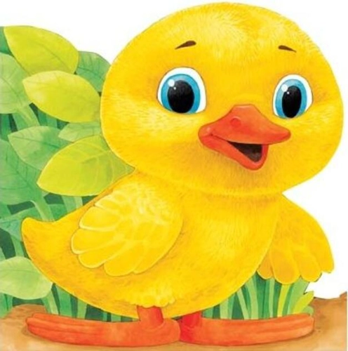 Răţuşca. Primii paşi