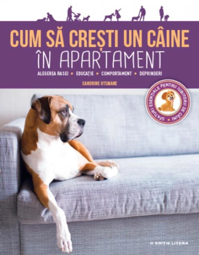 Cum să crești un câine în apartament