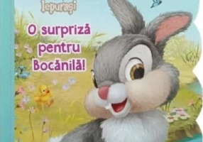 Disney Iepurași. O surpriză pentru Bocănilă
