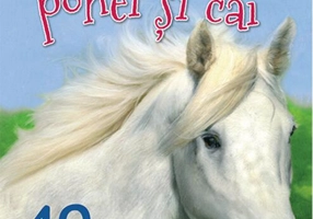 Povești cu ponei și cai