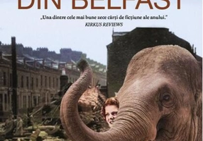 Elefantul din Belfast