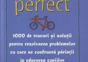 Părintele Perfect (vol. 2) 1000 de trucuri și soluții pentru rezolvarea problemelor cu care se confruntă părinții în educarea copiilor: Dicționar M - Z