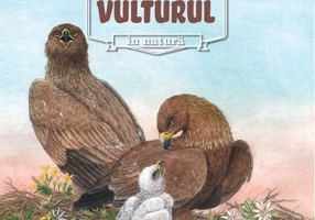 Vulturul. Animale sălbatice în natură