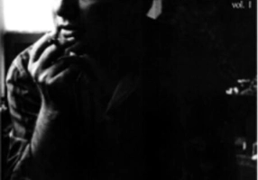 Jurnal întârziat. Simţiri din afara sistemului (2 volume)