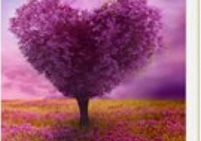 Incursiune în Cronicile Akashe