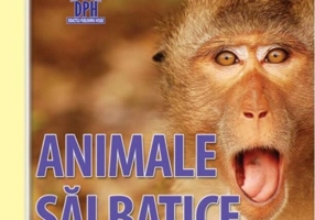 Animale sălbatice. Carte evantai (pliant)