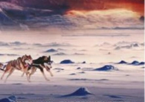 Jurnalul expediţiei spre Polul Nord (Vol. 2)