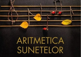 Aritmetica sunetelor. Muzica pe care nu o înveți la școală