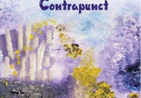 Soluția coliniarității. Contrapunct