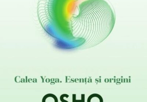Calea Yoga. Esență și origini