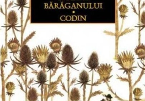 Ciulinii bărăganului. Codin