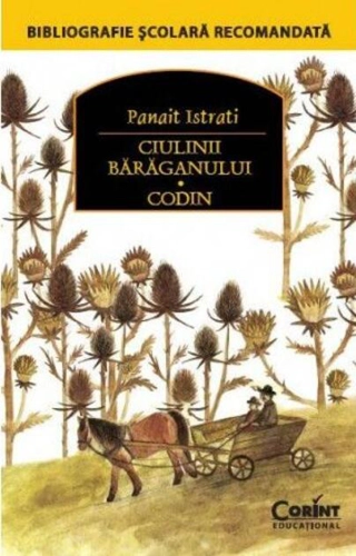 Ciulinii bărăganului. Codin