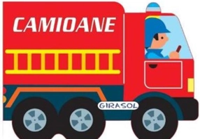 Vehicule cu motor: Camioane