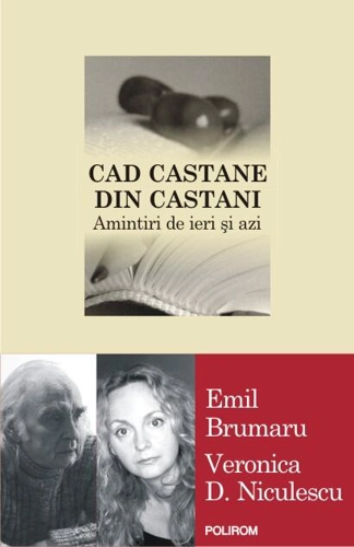 Cad castane din castani. Amintiri de ieri şi azi