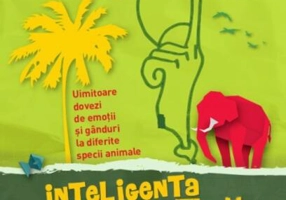Inteligența animală