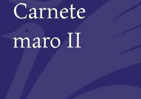 Carnete maro (Vol. 2)