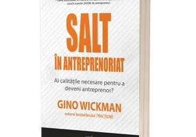 Salt în antreprenoriat
