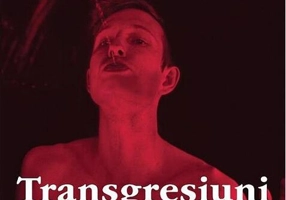 Transgresiuni. Ofensele artei