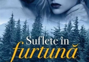 Suflete în furtună