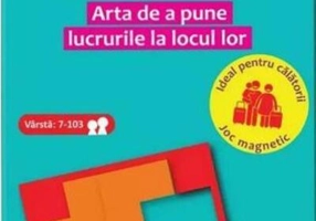 Puzzle logic magnetic