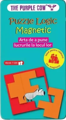 Puzzle logic magnetic