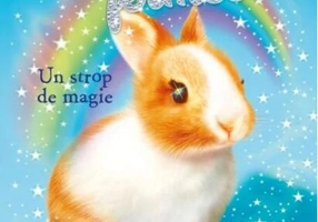 Iepurașul fermecat. Un strop de magie (Nivelul 6)