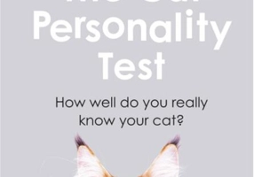 The Cat Personality Test. How well do you really know your cat?