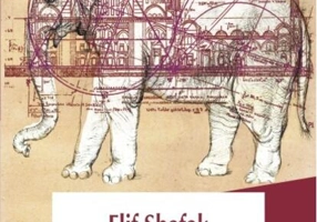 Ucenicul arhitectului