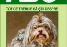 Tot ce trebuie să știi despre câine