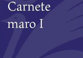 Carnete maro (Vol. 1)