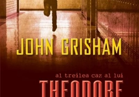 Theodore Boone. Acuzatul