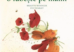 Matei o iubește pe mami