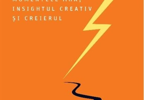 Factorul Evrica. Momentele Aha, insightul creativ și creierul