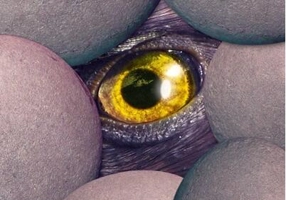 Blestemul de la Cumpăna Apelor