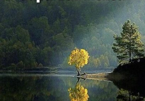 Dorul sufletului după Dumnezeu