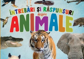 Primele lecturi: Întrebări și răspunsuri despre animale