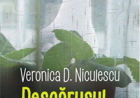 Pescărușul de la geam