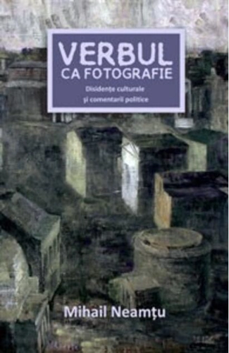 Verbul ca fotografie