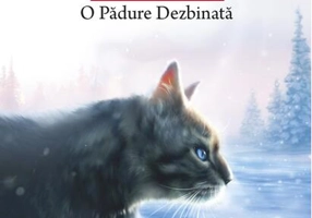 O Pădure Dezbinată (Vol. 29)